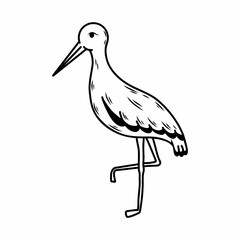 Doodle style stork. Bird on white background.