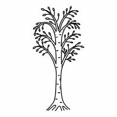 Birch.Doodle style tree. Vector illustration on a white background.