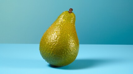 avocado on blue background