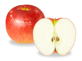 リアルタッチのりんごのイラスト