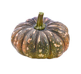 Slice of pumpkin isolated transparent png