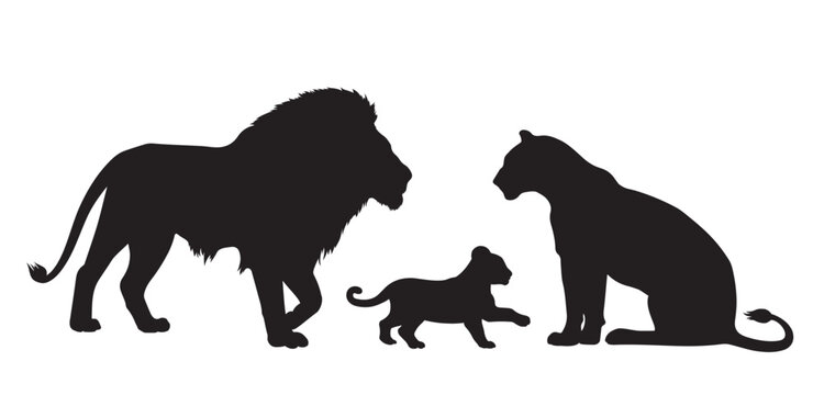 Lions. Silhouette of lion and lioness with young lion cub. Animal Family. Isolated. Vector illustration