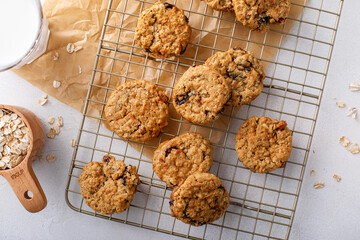 Healthy breakfast cookies with oatmeal, pecans and cranberry