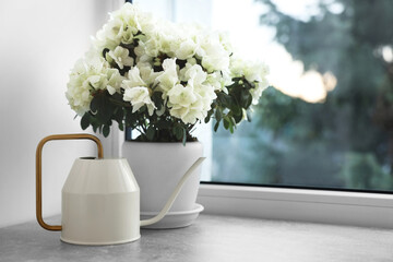 Beautiful azalea flowers in pot and watering can on windowsill indoors. Space for text