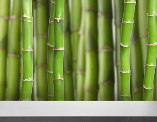 Empty grey surface against green bamboo stems. Space for design