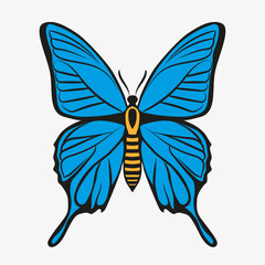 Fototapeta premium Beautiful Vector Isolated Blue Butterfly