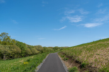 青空と新緑と遊歩道のある風景