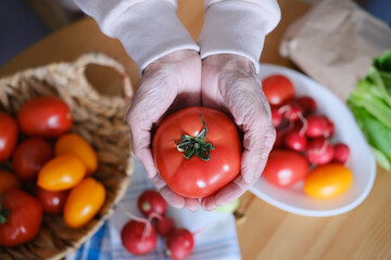 Age woman holding a large ripe tomato in her hands