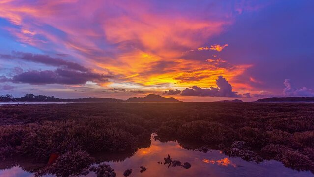 Time lapse colorful pink cloud in blue sky in sunset or sunrise..panorama view Majestic landscape pink cloud above staghorn reef field..wonderful nature cloudscape sky. .abstract nature background..