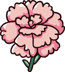 carnation png graphic clipart design