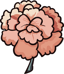 carnation png graphic clipart design