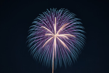 花火の大輪