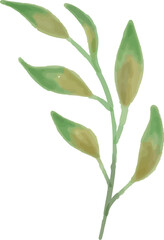 Floral Vector Illustration, Eps, Watercolor, Flower