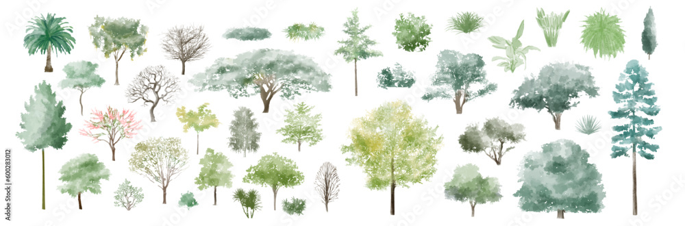 Poster tree watercolor vector illustration, minimal style tree painting hand drawn, side view, set of graph