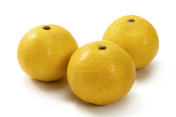 日本の柑橘類フルーツの日向夏