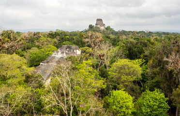 Fototapeta na wymiar Ruinas Mayas de Tikal en Petén, Guatemala