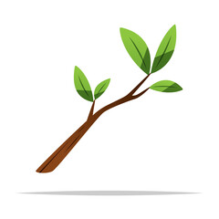 Tree branch vector isolated illustration