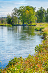 Fototapeta na wymiar Portrait view landscape of the Bow River in Fish Creek Park, Calgary, Alberta