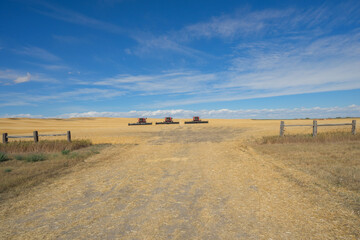 Fototapeta na wymiar Three combine harvester sitting in a field with a cloudy blue sky, Alberta, Canada