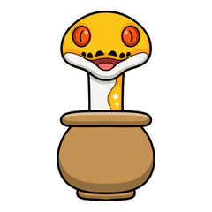 Cute albino pied reticulated python cartoon inside the pot