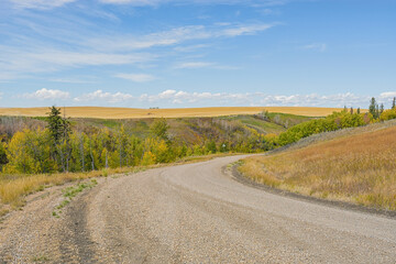 Fototapeta na wymiar Gravel backroad leading into the praire, Alberta, Canada