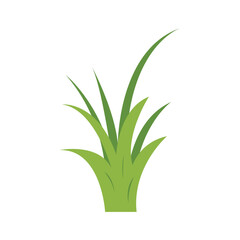 Green Grass Illustration