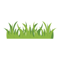 Green Grass Border Illustration