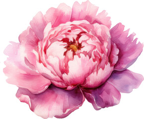 Peony Pink Flower Watercolor Illustration. Generative AI