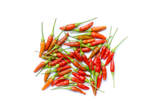 Freshly harvested piquin chile on white background