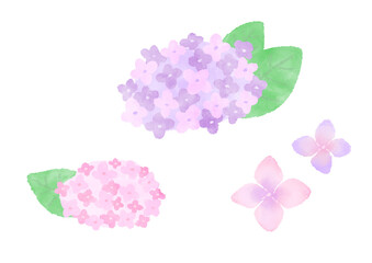 Pink and light purple hydrangea, rainy season, simple and cute hand-painted watercolor illustration / ピンクと薄むらさき色のあじさい、梅雨、シンプルでかわいい手描きの水彩イラスト