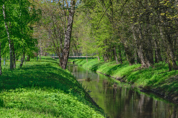 Fototapeta na wymiar Rzeka przepływająca przez park miejski z drzewami rosnącymi na obu brzegach