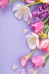 Fototapeta na wymiar multicolored spring flowers on purple background