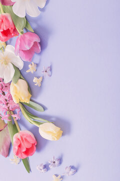 Fototapeta multicolored spring flowers on  purple background