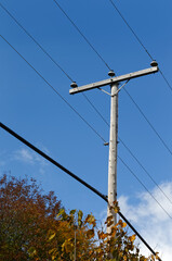 Wooden utility pole