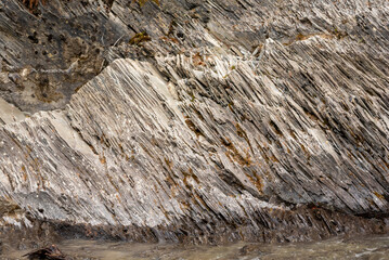 Stunning nature wilderness scenes near Banff National Park in springtime. River running through a wilderness area with forest trees and pristine glacial water. 