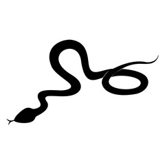 snake vctor illustration