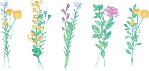 Fototapeta na wymiar 水彩画。水彩タッチのカラフルな植物ベクターイラスト。ナチュラルスタイル花びら。Watercolor painting. Colorful plant vector illustration with watercolor touch. Natural style petals.
