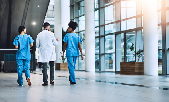Back, employees and doctors walking, conversation and planning with deadlines, schedule and brainstorming. Medical professional, coworkers and team with uniform, share ideas and talking for advice