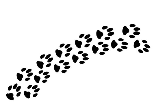 Paw footprint of Cat, Dog, Kitten Puppy silhouette, Paw silhouettes,  set of paw Silhouettes,  paw vector
