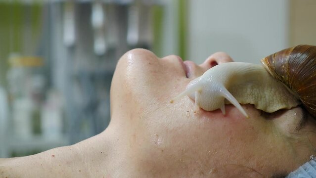 Snails crawling on female face. Skin care at beauty salon. Anti-aging solutions. Snail with mucin muscus for skin treatment. skin rejuvenation. Beauty, wellness and skin care concept. korean medicine