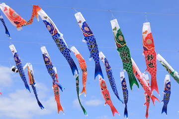 大空に泳ぐ1000匹の鯉のぼり（1000 carp streamers swimming in the sky）