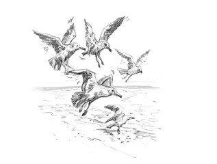 birds in flight pencil drawing for card decoration illustration