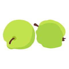 Guava fruit in Thailand, local fruit in tropical, vector illustration in flat cartoon design.