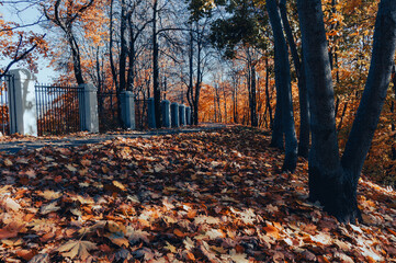 Autumn Park in Vladimir, Russia.