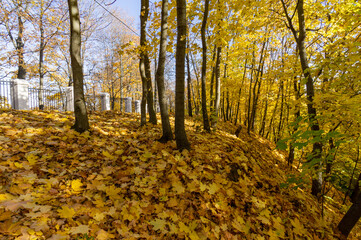 Autumn Park in Vladimir, Russia.