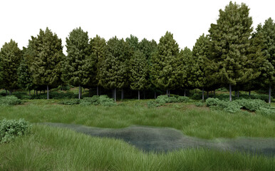 Fototapeta na wymiar Realistic grass plain with river and trees. 3d rendering of isolated objects.