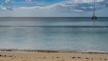 The waves of the turquoise ocean roll onto the shore. Foam at the water's edge. Fallen leaves on...