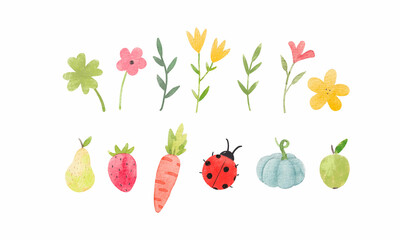 Beautiful stock illustration with set of watercolor hand drawn flowers fruits and other elements.