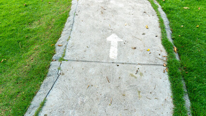 Concrete walking path. There was a white arrow line going forward. Lush green grass grew on both sides.