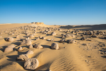 Barren desert landscape in hot climate with geological watermelons